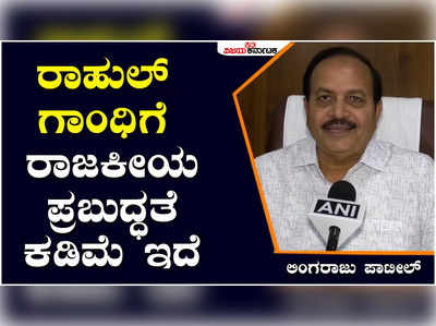 ರಾಹುಲ್ ಗಾಂಧಿ ಅವರನ್ನು ಯಾರೂ ಗಂಭೀರವಾಗಿ ಪರಿಗಣಿಸುವುದಿಲ್ಲ: ಲಿಂಗರಾಜು ಪಾಟೀಲ್