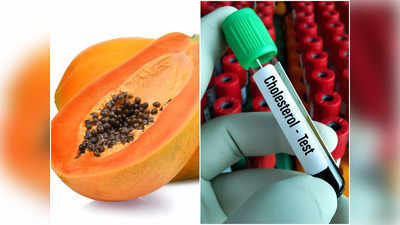 Papaya Seed Benefits: পেঁপের ৫ বীজ খেলে শরীরে মেলে ম্যাজিকের মতো উপকার! ডায়াবিটিস, কোলেস্টেরল হয় দূর