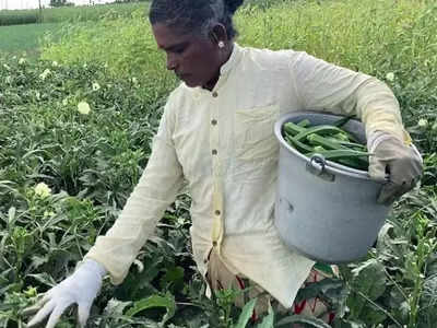 போதிய விலை இல்லை... சாலையில் கொட்டப்படும் வெண்டைக்காய்!