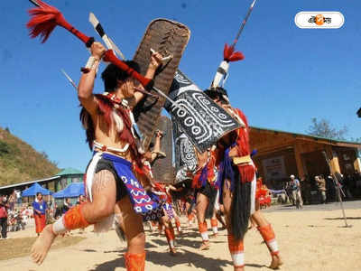 Hornbill Festival Nagaland : ফিকে হচ্ছে নাগাল্যান্ডের হর্নবিল? নাম তুলল সাত আদিবাসী সংগঠন