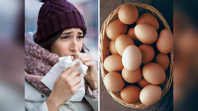Why you should eat eggs in winter: ठंड में अंडा खाने से बनी रहती है सेहत, मिलते हैं Vitamin D समेत ये 5 फायदे