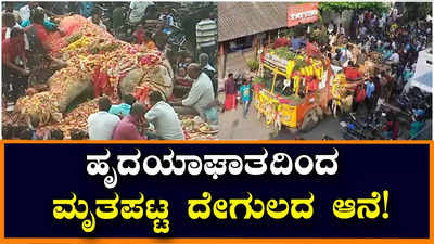 ಪ್ರಸಿದ್ಧ ಮನಕುಲ ವಿನಾಯಕ ದೇಗುಲದ ಆನೆ ಹೃದಯಾಘಾತದಿಂದ ನಿಧನ!