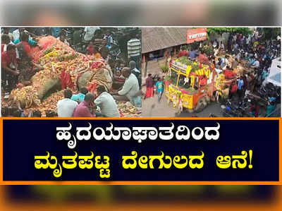 ಪ್ರಸಿದ್ಧ ಮನಕುಲ ವಿನಾಯಕ ದೇಗುಲದ ಆನೆ ಹೃದಯಾಘಾತದಿಂದ ನಿಧನ!