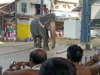 ഗുരുവായൂർ ക്ഷേത്രത്തിൽ വീണ്ടും ആന ഇടഞ്ഞു