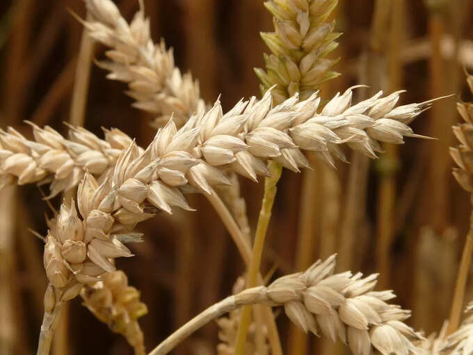 ​ಇವುಗಳನ್ನು ಸೇವಿಸಬಾರದು