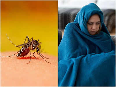 Dengue Symptoms: এ বছর বহু মানুষের প্রাণ নিচ্ছে ডেঙ্গি, এই লক্ষণ দেখা মাত্রই দ্রুত ব্যবস্থা নিতে বললেন চিকিৎসক