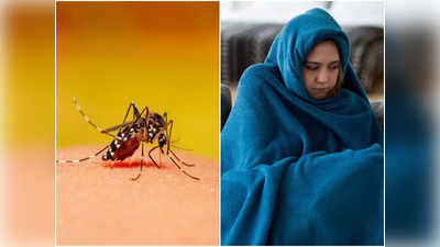 Dengue Symptoms: এ বছর বহু মানুষের প্রাণ নিচ্ছে ডেঙ্গি, এই লক্ষণ দেখা মাত্রই দ্রুত ব্যবস্থা নিতে বললেন চিকিৎসক