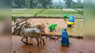 விவசாயிகளுக்கு மானிய உதவி.. தமிழக அரசு அழைப்பு!