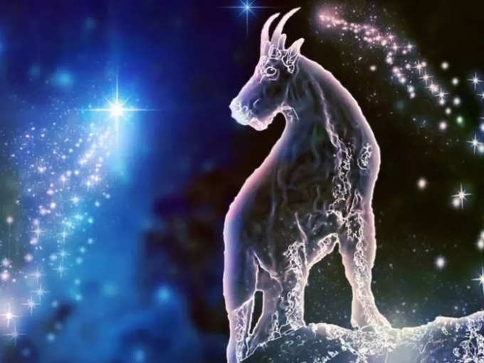 ​మకర రాశి(Capricorn)..