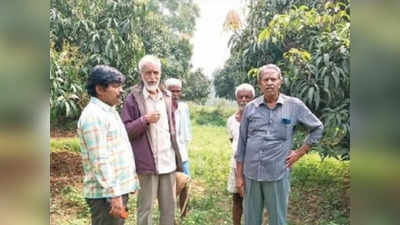 (ವಿಶೇಷ ವರದಿ) ಮಾವಿನ ಹೂವುಗಳಿಗೆ ರೋಗ, ಕೀಟ ಕಾಟ; ಆತಂಕದಲ್ಲಿ ಮಾವು ಬೆಳೆಗಾರರು