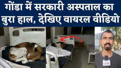 कुत्तों का आशियाना बना सरकारी अस्पताल, मरीजों के बेड पर फरमा रहे आराम