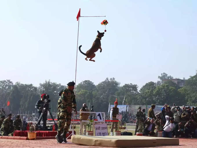 डॉग स्क्वॉड ने लगाई इतनी ऊंची छलांग!