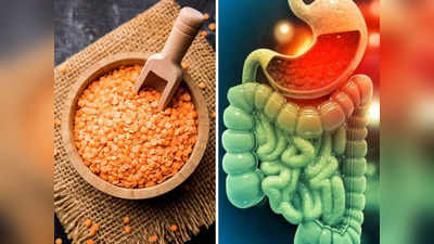 Foods for Constipation: पुरानी से पुरानी कब्ज तोड़ देंगी ये 6 चीजें, आंतों को साफ करके बवासीर से करेंगी बचाव