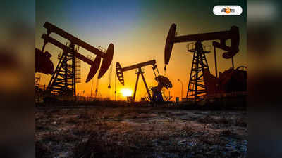 Crude Oil Price : তেল উৎপাদন একই রাখবে রপ্তানিকারকরা