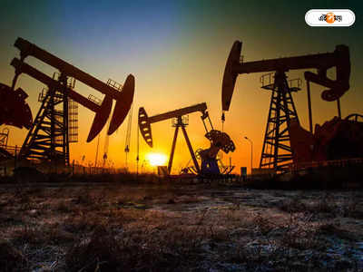 Crude Oil Price : তেল উৎপাদন একই রাখবে রপ্তানিকারকরা