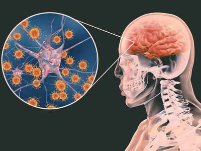 Japanese Encephalitis: क्या चीन के बाद अब जापान का ये वायरस मचाने वाला है तबाही? जानें लक्षण, बचाव और उपचार