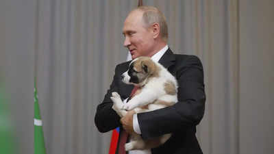 Vladimir Putin: हिरण के खून से नहा रहे पुतिन, कुत्तों की दी जा रही बलि... रूसी पत्रकार का सनसनीखेज दावा