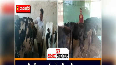 Agriculture Success Story: ಹೈನೋದ್ಯಮಕ್ಕೆ ಕೈ ಹಾಕಿ ರಾಜನಾದ ‘ದೇವರಾಜ್