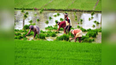 Farmers Insurance: কৃষকদের বিমার ক্ষতিপূরণ দেওয়া হয়েছে মোট 1.25 লাখ কোটি টাকা, জানাল কেন্দ্র