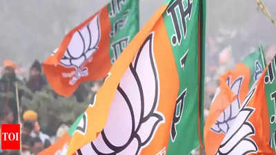 Gujarat Election Exit Poll Results: ಗುಜರಾತ್‌ನಲ್ಲಿ ಬಿಜೆಪಿಗೆ ಸಾಟಿಯೇ ಇಲ್ಲ!: ಮೋದಿ ತವರಲ್ಲಿ ಕೇಸರಿಯದೇ ಹವಾ