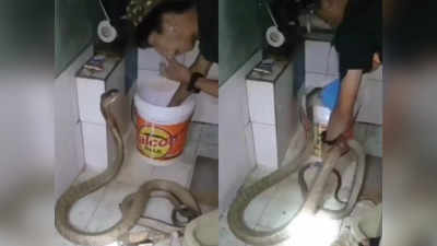 Viral Snake Video:খালি হাতে বিষাক্ত সাপকে স্নান! ভয়ঙ্কর ভিডিয়ো দেখলে শিউরে উঠবেন আপনিও