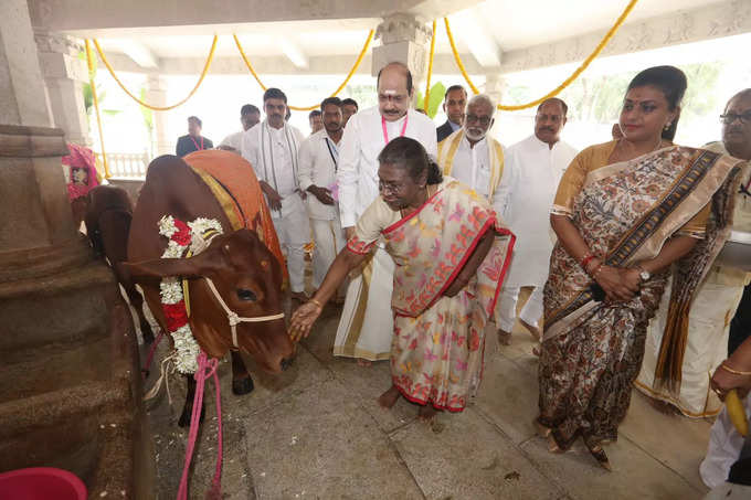 పద్మావతి అమ్మవారి సేవలో రాష్ట్రపతి ద్రౌపది ముర్ము