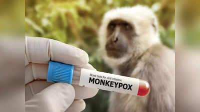 Monkeypox: ২০২২ সালে দাপিয়ে বেরিয়েছে মাঙ্কিপক্স, এই লক্ষণেই সাবধান হতে বললেন চিকিৎসক