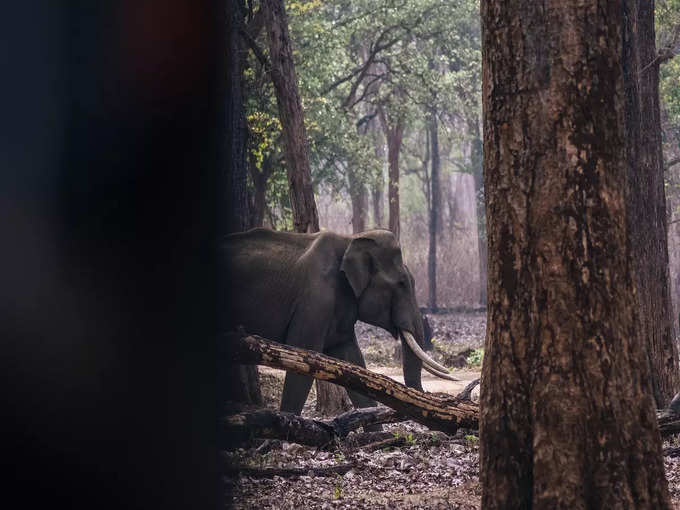 ​ఫొటోల విషయంలో జాగ్రత్త..