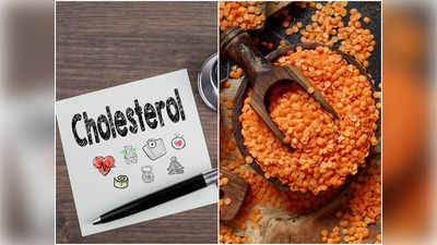 Cholesterol Diet: এই ৫ খাবার HDL কোলেস্টেরল বাড়িয়ে হার্টের রোগ থেকে বাঁচায়, জানালেন পুষ্টিবিদ