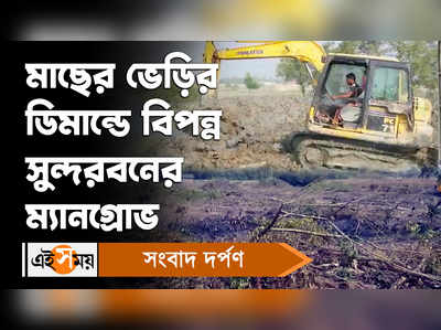 Sundarban News: মাছের ভেড়ির ডিমান্ডে বিপন্ন সুন্দরবনের ম্যানগ্রোভ