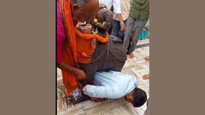 Viral Video: யானைக்கு அடியில் சிக்கிய நபர்! எப்படி சிக்கினார்?