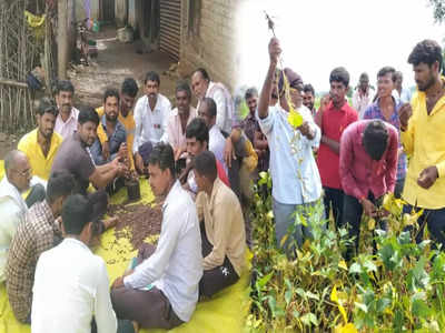 गटशेतीचं फॅड सोडा,घरच्यांचं बोलणं ऐकलं पण एकरात लाखोंचं उत्पन्न घेतलं; हिंगोलीच्या तरुणांची सक्सेस स्टोरी