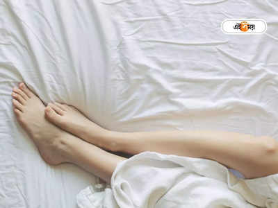 Electric Bed Sheet: মুহূর্তে উত্তাপ ছড়াবে বিছানা জুড়ে! শীতে বাড়ি আনুন হিটিং বেডশিট, দাম কত?