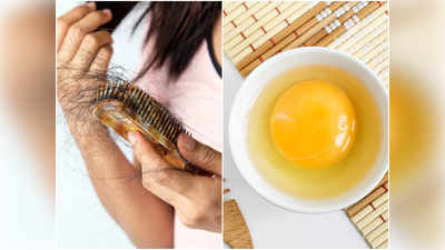 Eggs For Hair: দলা দলা চুল ওঠা বন্ধ হয়ে নতুন গজাতে ১ মাসও লাগবে না! ডিমের সঙ্গে এই উপাদান মিশিয়ে ১ দিন লাগালেই হবে