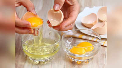 Egg For Skin: മുഖത്ത് മുട്ട പുരട്ടി നോക്കൂ ചര്‍മ്മത്തിലെ ഈ പ്രശ്‌നങ്ങളെല്ലാം വേഗത്തില്‍ മാറ്റിയെടുക്കാം