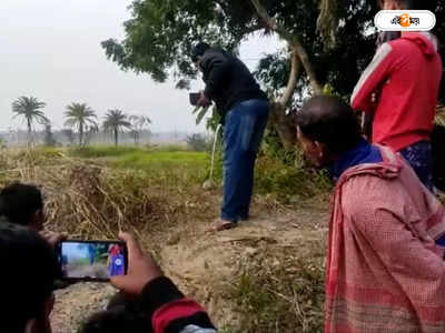 Nandigram News Today : সবজির বাগান থেকে উদ্ধার তাজা বোমা, আতঙ্ক নন্দীগ্রামে