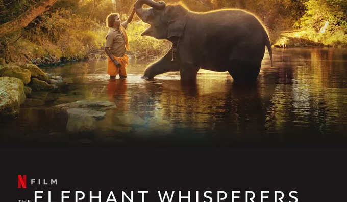 the elephant whisperer