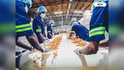 Food Processing Industry : খাদ্য প্রক্রিয়াকরণে ৫০০ কোটি টাকার লগ্নি রাজ্যে