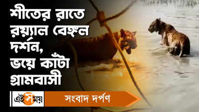 Royal Bengal Tiger : শীতের রাতে রয়্যাল বেঙ্গল দর্শন, আতঙ্ক ঘুম উড়েছে গ্রামবাসীদের