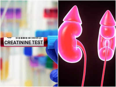 High Creatinine Level: কিডনি ড্যামেজ হলে রক্তে বাড়ে ক্রিয়েটিনিন, এই লক্ষণেই চিকিৎসকের কাছে যান