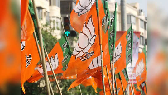 Bjp Vote Share: భారీ మెజార్టీతో దూసుకుపోతున్న బీజేపీ... 53 శాతం దాటిన ఓట్ షేర్‌ 