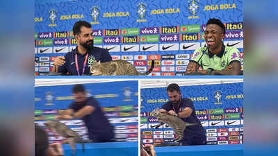 FIFA World Cup: बिल्ली को पहले सहलाया और फिर उठाकर फेंक दिया, वीडियो में कैद हुई शर्मनाक करतूत