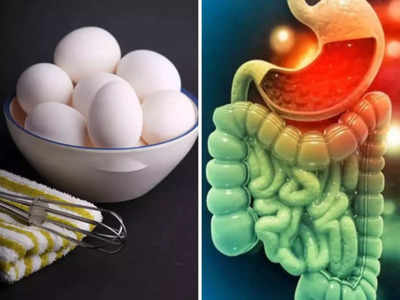 Foods Bad for Intestines:आतड्यांना आतून खराब करतात हे  पदार्थ या साइलेंट किलर पासून लांबच राहा