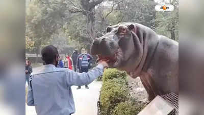 Guwahati Zoo : গুয়াহাটি থেকে পশুদের পাঠানো হবে রিলায়েন্সের চিড়িয়াখানায়, প্রতিবাদে বিক্ষোভ