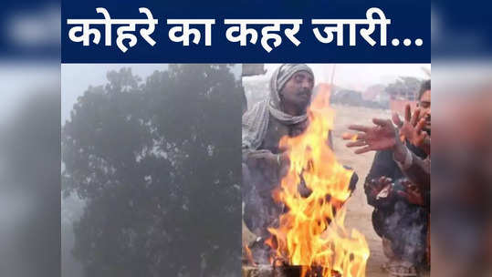 Bihar Weather Update: कुढ़नी में बीजेपी की जीत से बढ़ा बिहार का सियासी पारा, तापमान गिरने से सूबे के कई जिलों में बढ़ी