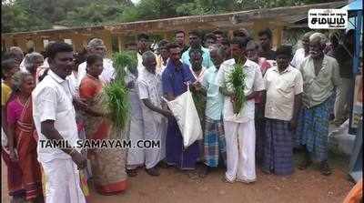 நாட்டார் கால்வாயில் தண்ணீர் திறக்க கோரி வாடிய பயிர்களுடன் வந்து கிராம மக்கள் மனு.