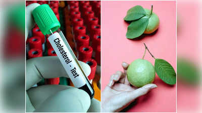 Guava for Cholesterol: খারাপ কোলেস্টেরলকে শরীর থেকে টেনে বের করে ৫ টাকার পেয়ারা, রক্তনালী হবে পরিষ্কার