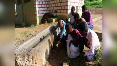 தங்க புதையலை பாதுகாக்கும் பாம்புகள்; புதிருக்கு விடை தெரிந்தால் உங்களுக்குத்தான்!