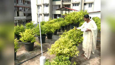 Jasmine Cultivation: ಮನೆ ತಾರಸಿಯಲ್ಲೇ ಮಲ್ಲಿಗೆ ಬೆಳೆದು ಮಹಿಳೆ ಯಶಸ್ವಿ; ತಿಂಗಳಿಗೆ 60 ಸಾವಿರಕ್ಕೂ ಹೆಚ್ಚು ಆದಾಯ