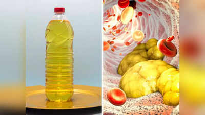 किचनमधील या ६ तेलांमुळे झपाट्याने वाढतो LDL Cholesterol-Triglyceridersची पातळी, आताच बदला नाहीतर...